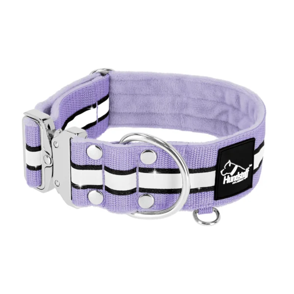 Extreme Silver Buckle Safe Baby Purple – Säkert reflexhalsband