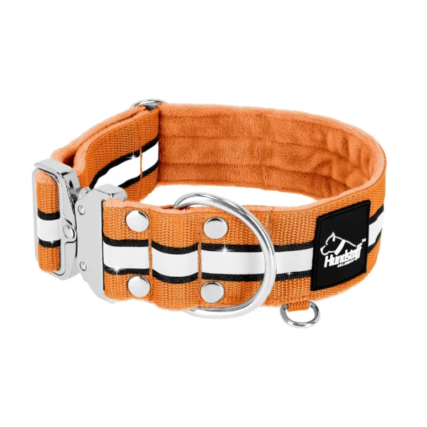 Extreme Silver Buckle Safe Orange – Säkert reflexhalsband