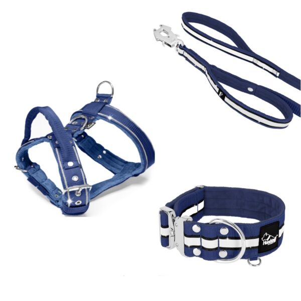 Active Golden Navy Blue – Brett slitstarkt halsband med spänne