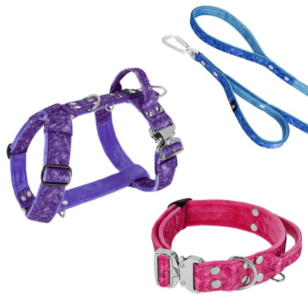 Active Baby Purple – Brett slitstarkt halsband med spänne